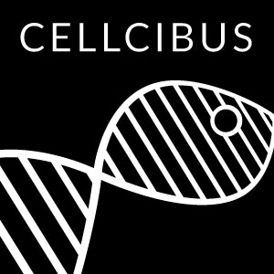 Cellcibus Logo